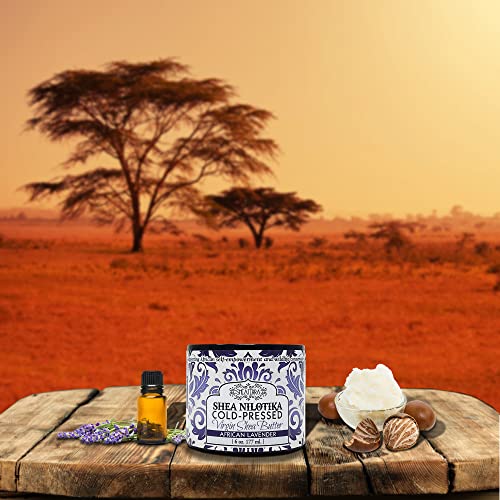 Shea Terra Organics 100% Organic Cold-Pressed Virgin Shea Butter – S. African Lavender | Natural Anti-Aging Daily Skin, Nails & Hair Cream To Soften & Rejuvenate Skin & Reduce Stretch Mark – 6 Oz #TOP3