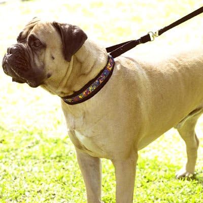 Large, EZSwivelLeash Signature Ribbon Pet Leash, Red