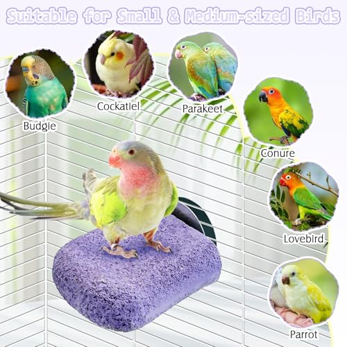 Image of PINVNBY 5 Pack Bird Perch Resin Bird Beak Grinding Stone Parrot Cage Stand Platform Foot Claws Trimmer Chew Toy Cage Accessories for Budgie Cockatiel Conure Lovebird Finch (Purple)