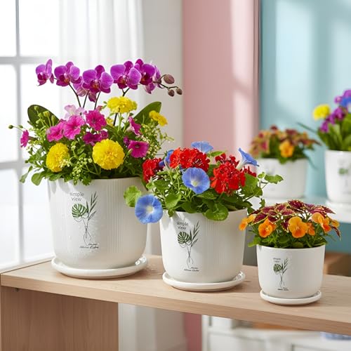 Image of Xtore Heritage Ceramic Planter Set with Drainage Trays | Pro-Decal Style Pots for Home & Balcony Decor - (Set of 3, White, Planter ONLY)
