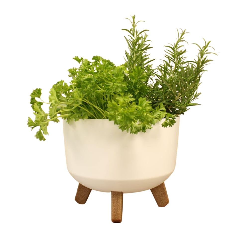 Gardening Naturally Indoor Plant Pot Zinnia Stylish and Durable Planter for Houseplants (Low Pot 24cm - White)