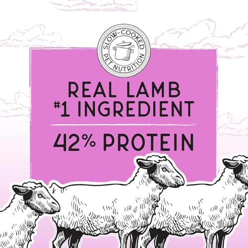Image of Blackwood Bounty Dry Cat Food, Red Meat Recipe for All Life Stages, 10 Pound Bag, High Protein, Grain Free