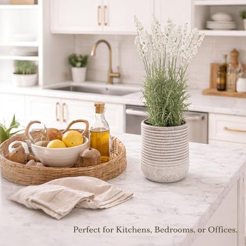 Image of Garden Art Artificial Lavender Plant with Pot - Flocked Purple Lavender Flowers in Textured Pot, Perfect for Home Decor, Office Desk & Gift Use (P-0230White)