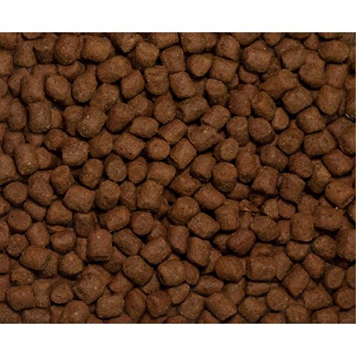 Wysong Optimal Adult Canine Formula Dry Dog Food- 5 Pound Bag, Model: Wdcoa5 #TOP2