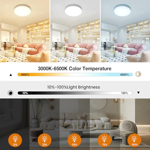 Smart Ceiling Light with Music Speaker