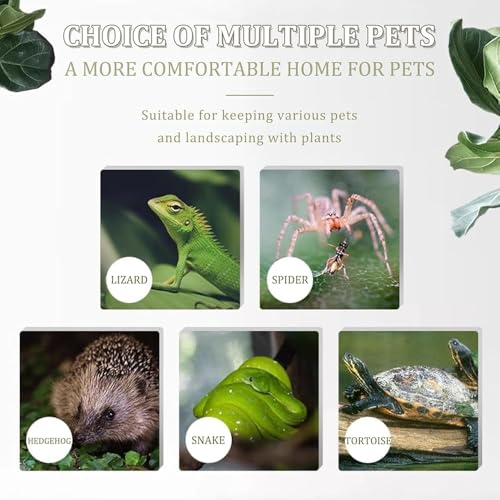 Terrarienbecken aus Glas mit Panoramablick für Reptilienlebensraum