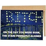 Naixiwen Funny Best Friend Birthday Card, Snarky Birthday Card for Bestie, Birthday Card for Women Friend, Stars Perfectly Aligned on The Day You Were Born