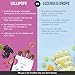 MommaBear Organics Handcrafted Kids Cough Lollipops (Ages 2-11) - Natural Sore Throat Relief & Cough Drop Suckers - Elderberry Bits, Honey & Organic Flavors - Tightly Sealed for Freshness - 10 Count