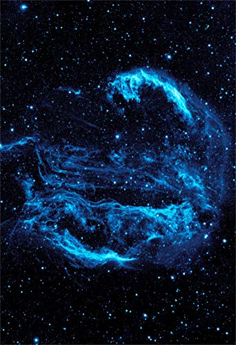 New Horizon Aviation, LLC NASA Cygnus Loop Nebula Space Hi Gloss Poster...