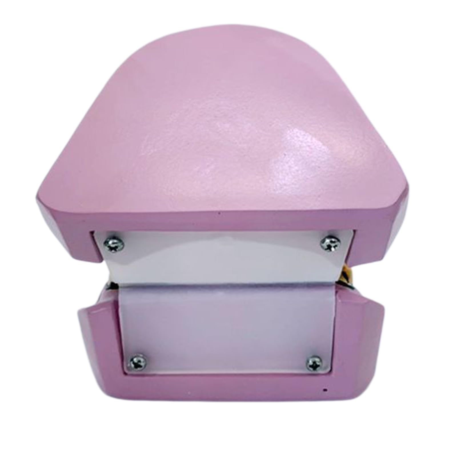 Modèle de pathologie Dentaire avec cavités et Caries dentaires Modèle d'anatomie Dentaire pour l'éducation Modèle de dent pour Exposition Dentaire