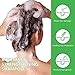 Rosmarin Shampoo für Haarwachstum Rosemary Mint Shampoo, Veganes Rosmarin Shampoos Gegen Haarausfall mit Biotin, Sanfte Reinigung, Reparierendes und Nährendes Kopfhaut für Frauen Männer, 300ml