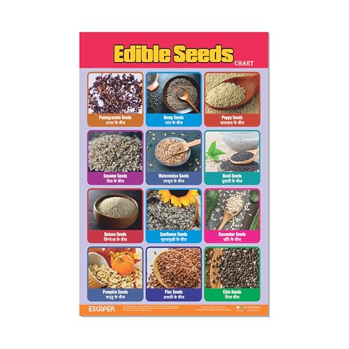 Image of ESCAPER Edible Seeds Educational Learning Charts (11.5 x 17.5 Inches), 300 GSM Paper, Laminated, Self Adhesive Back, Kids Study Material, Perfect For Home Schooling, Nursery Students