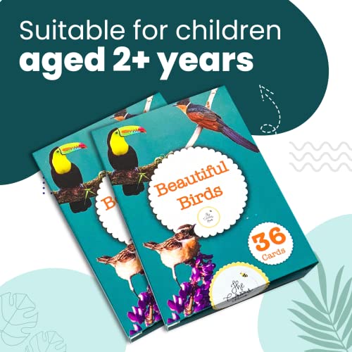 Image of Beautiful Birds Flash Cards | 36 Laminated Cards | Age Group: 2-4 Years | Science Educational & Fun Activity for Kids