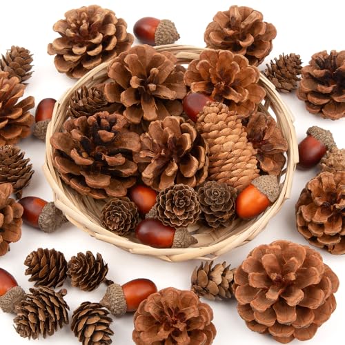 42 PCS Natural Pine Cones for Crafts Set 0.7'-3.2' Medium & Small Pinecones Decorating Bulk, with Artificial Acorn for DIY Crafts Vase Fillers, Fall & Thanksgiving Christmas Bowl Filler, Wedding Decor