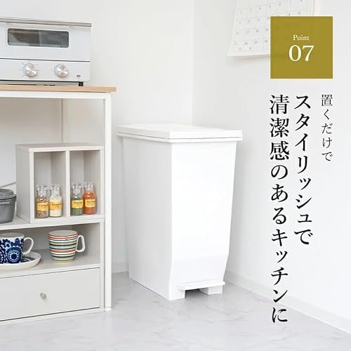 アスベル 密閉ゴミ箱 45L ECエバンMP