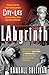 Labyrinth: The True Story of City of Lies, the Murders of Tupac Shakur and Notorious B.I.G. and the Implication of the Los Angeles Police Department