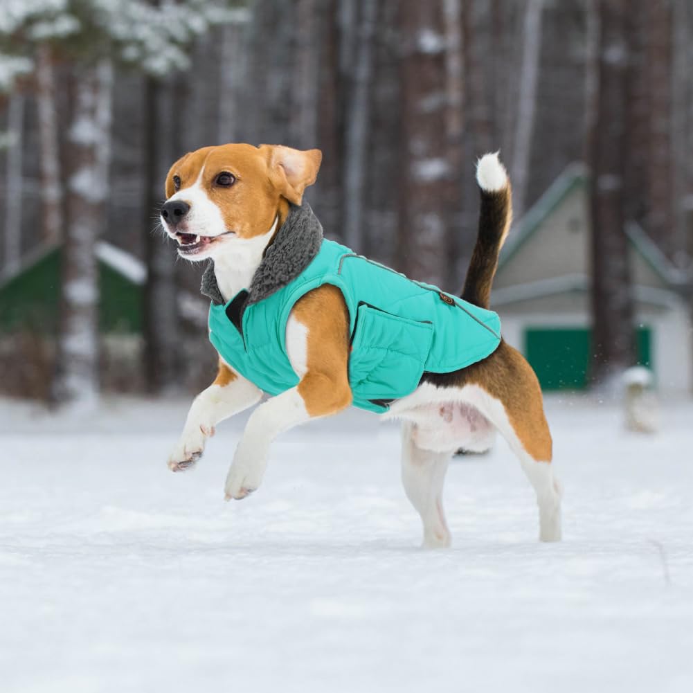 EMUST Abrigos de invierno para perros, ropa gruesa para perros medianos, abrigos para perros de invierno con agujero para arnés, abrigos para perros para clima frío, turquesa, M