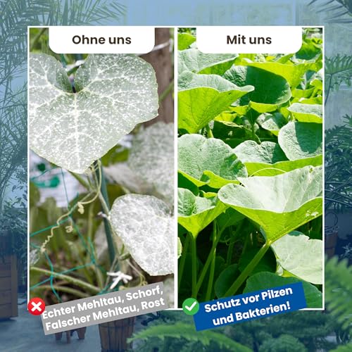 LERAVA Kupfer-Schwefel Fungizid Spray (700 ml) - Biologisches Spritzmittel gegen Mehltau, Pilzbefall und Blattflecken - Effektiver universal Pflanzenschutz - Mit Eisen, Mangan und Zink angereichert