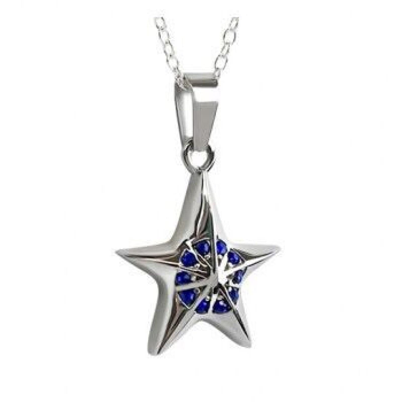 Collier Mémorial Pour Cendres Incrusté Cristal - Pendentif étoile En Acier Inoxydable, Bijou De Crémation Pour Homme Et Femme