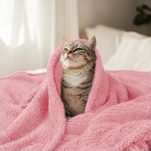 Image of Premium Fleece Dog Blanket Soft Pet Sherpa Calming Blankets Throw for Dog Puppy Cat, Pink Small (20x30)