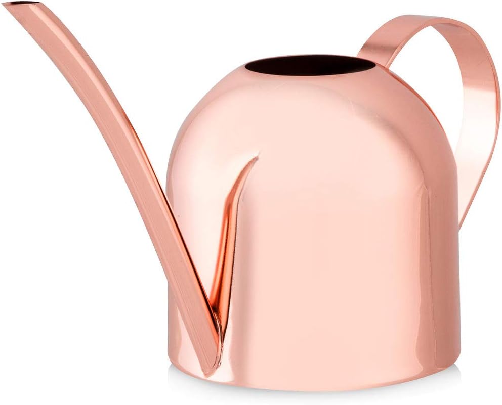 Smouldr Mini Plant Watering Can Indoor: Rose Gold Small Watering Can Helps You Water Tiny House Plants, Succulents, Bonsai or Herb Gardens - Steel Plant Waterer for Miniature Flower Pots - 15 Ounces : Patio, Lawn & Garden