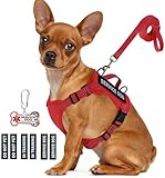 Service Dog Vest for Small Breed Dogs with ID Tag – Lightweight Puppy Harness and Leash Set with 6 PCS Patches, Ideal Service Animal Vest for Training, Complete Service Dog Gear, Red, S