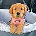 Voyager Verstellbares Hundegeschirr mit Reflektorstreifen by Best Pet Supplies - Strapazierfähige Ganzkörperweste ohne Zugkraft mit Leinen-D-Ring, atmungsaktiv, Rosa, size XS