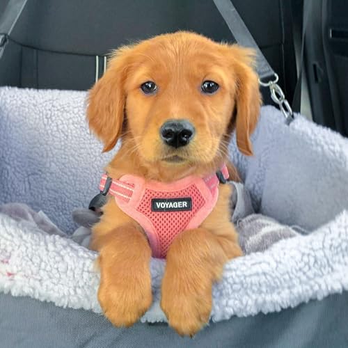 Voyager Verstellbares Hundegeschirr mit Reflektorstreifen by Best Pet Supplies - Strapazierfähige Ganzkörperweste ohne Zugkraft mit Leinen-D-Ring, atmungsaktiv, Rosa, size XS