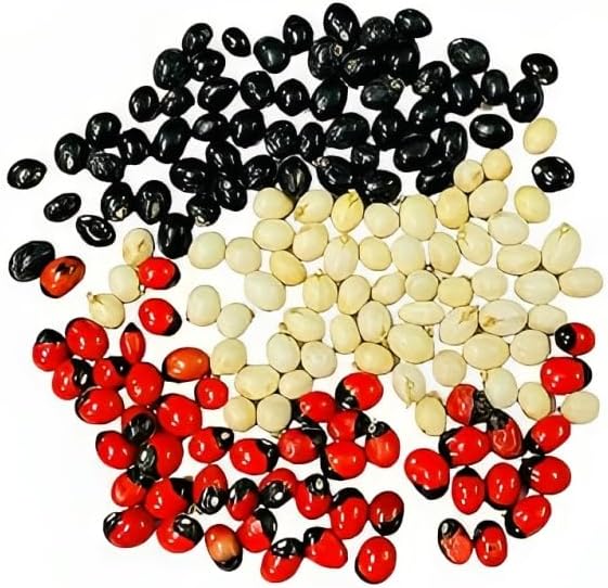 Chanothi Roots Chirmi Gunja Seeds (171 Pieces Red, White & Black Seeds) | Herbal Gunja ...