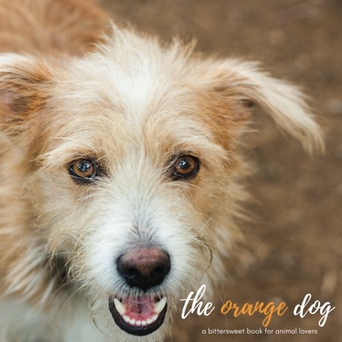 The Orange Dog: A bittersweet book for animal lovers (Children's Dog Books) (ages 9-12)