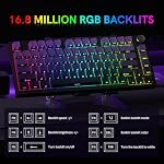 COSTOM WK75 75% Wireless Gaming Mechanical Keyboard,BT5.0/2.4GHz/USB-C, Hot Swappable Pre-lubed Custom Linear Switches,Gasket Structure,RGB Backlit Keyboard for PC/Laptop/Xbox/PS4/PS5 (Purple) - Image 5