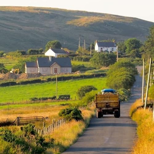 Farming in transition