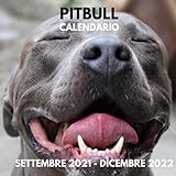 Calendario Pitbull Settembre 2021 - Dicembre 2022: Settembre 2021 - Dicembre 2022 Quadrato Foto Libro Mensile Planner Calendario regalo I Idea regalo ... uomini e donne I Con le festività italiane
