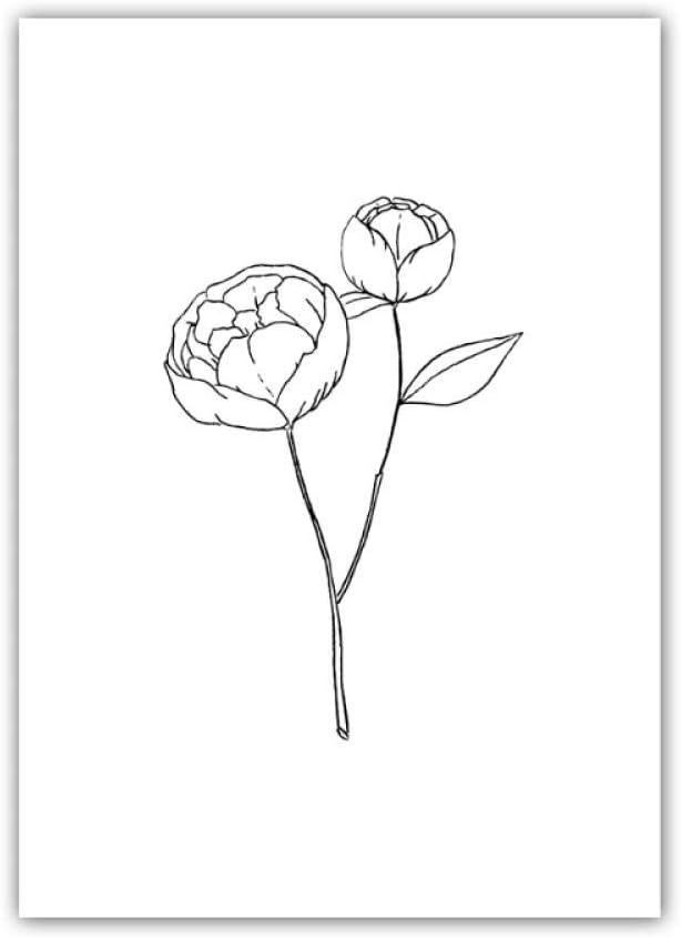 Amazon Llxhg シンプルなスタイルの白と黒の線画の花 手描きの植物の非フレームキャンバスプリント絵画ポスター 壁の装飾 28x36cm非フレーム アートフレーム ポスター オンライン通販