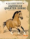 American Quarter Horse (Top Horse Breeds)
