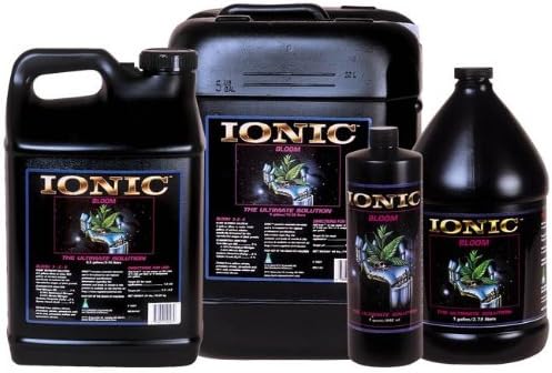 Ionic Bloom 718175 IONIC BLOOM QUART (12/CASE)