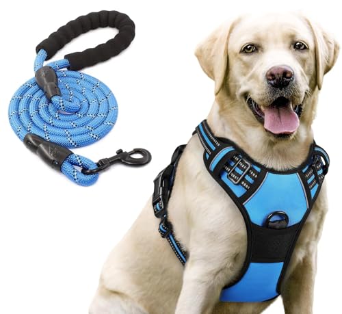 Image of Lyrovo Adjustable No-Pull Dog Harness with Leash Set for Small, Medium & Large Dogs - Reflective, Breathable, Comfortable Vest Harness for Training & Walking (Blue, S (4-13Kg))