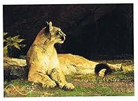 Bob Kuhn 0967464412 Book Cover