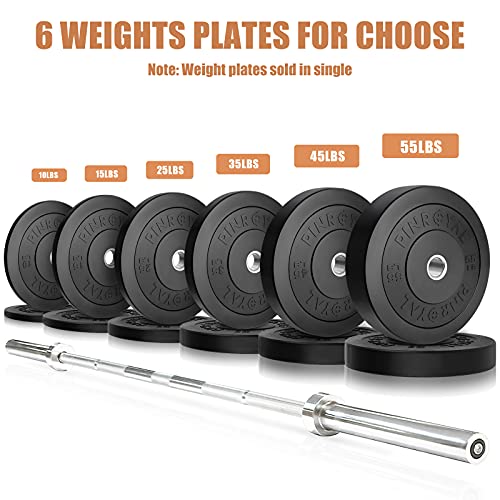 Pinroyal Bumper Plates 10Lb Set, Olympic Weight Plates With 2 Inch Stainless Steel Hub, Rubber Barbell Weights To Protect Floor, Smooth Strength Training Plates To Protect Bar From Scratches, Pair #TOP2