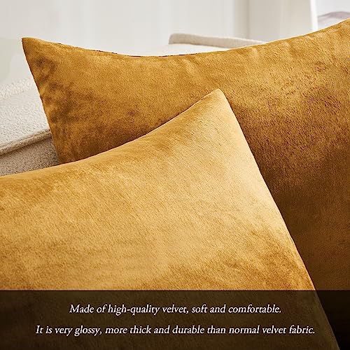 MIULEE Champagne Gold Luxurious Velvet Cushion Covers Soft Decorative Square Throw Pillow Case Pillowcases for Livingroom Sofa Bedroom with Invisible Zipper 20"x20" 50cm x 50cm 2 Pieces - Image 3