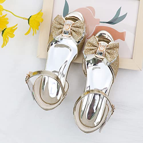 Image of Amtidy Girls Glitter Bow Low Heel Princess Shoes, Mary Jane Ankle Strap Dress Pumps for Wedding Birthday Party Performance