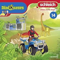 Page de couverture de Der große Streit