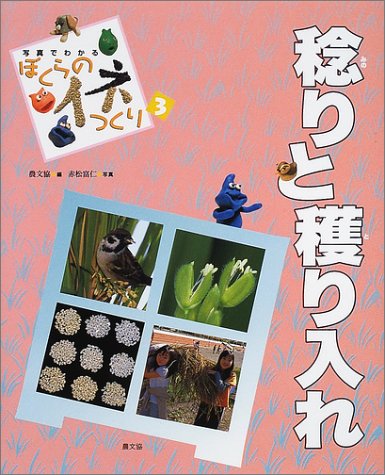 写真でわかるぼくらのイネつくり〈3〉稔りと穫り入れ