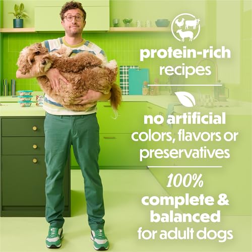 Image of Purina Beneful Protein Gravy Wet Dog Food Variety Pack Freshly Prepared Meals Stew - (Pack of 6) 10 oz. Tubs