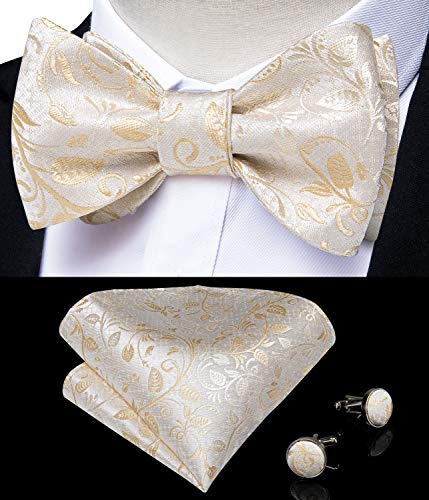 Image of DiBanGu Men Bow Tie Paisley Striped Self-Bow Tie for Men and Silk Woven Bowtie Pocket Square Cufflinks Wedding Party