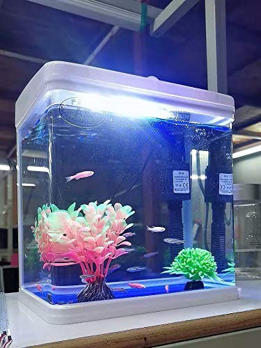 SOBO T-240F aquarium with various fish and decorations