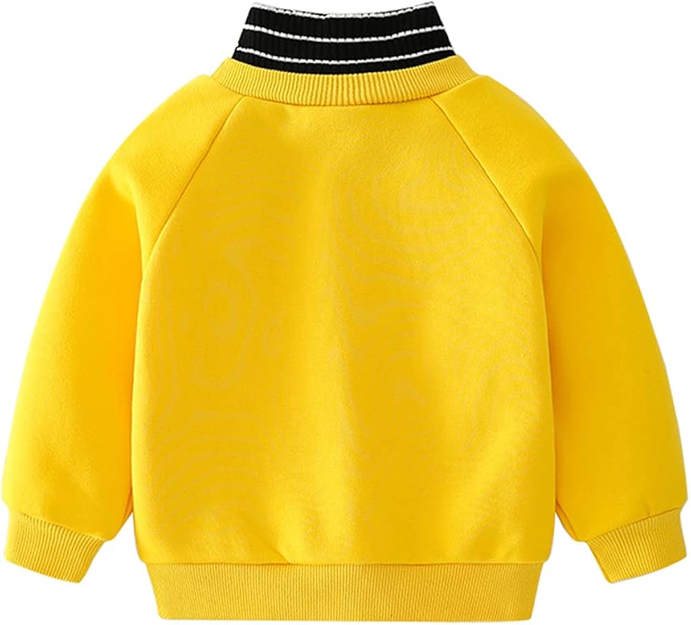 Mud Kingdom Little Boy Mock Neck Dinosaur Sweatshirt Fleece: Clothing, Shoes & Jewelry
