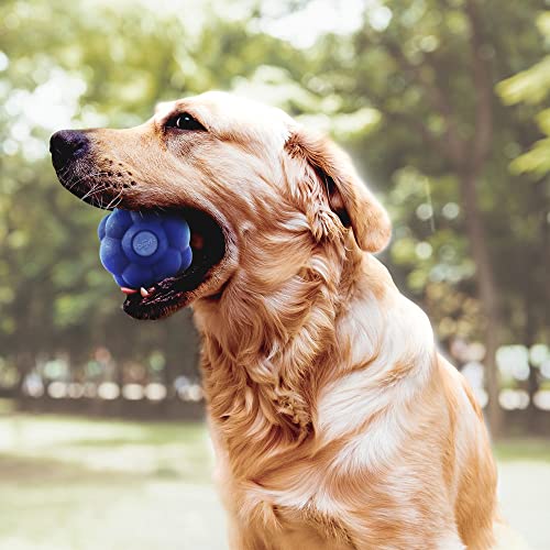 SuperChewy Tough Tumbler Ball Toy Strong Natural Rubber | Smear Treats Inside to Excite Dogs | Ultra Durable Chewing Toy for Aggressive Chewers | for All Breeds SuperChewy Tough Tumbler Ball Toy Strong Natural Rubber | Smear Treats Inside to Excite Dogs | Ultra Durable Chewing Toy for Aggressive Chewers | for All Breeds