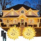 C9 Christmas Lights...image