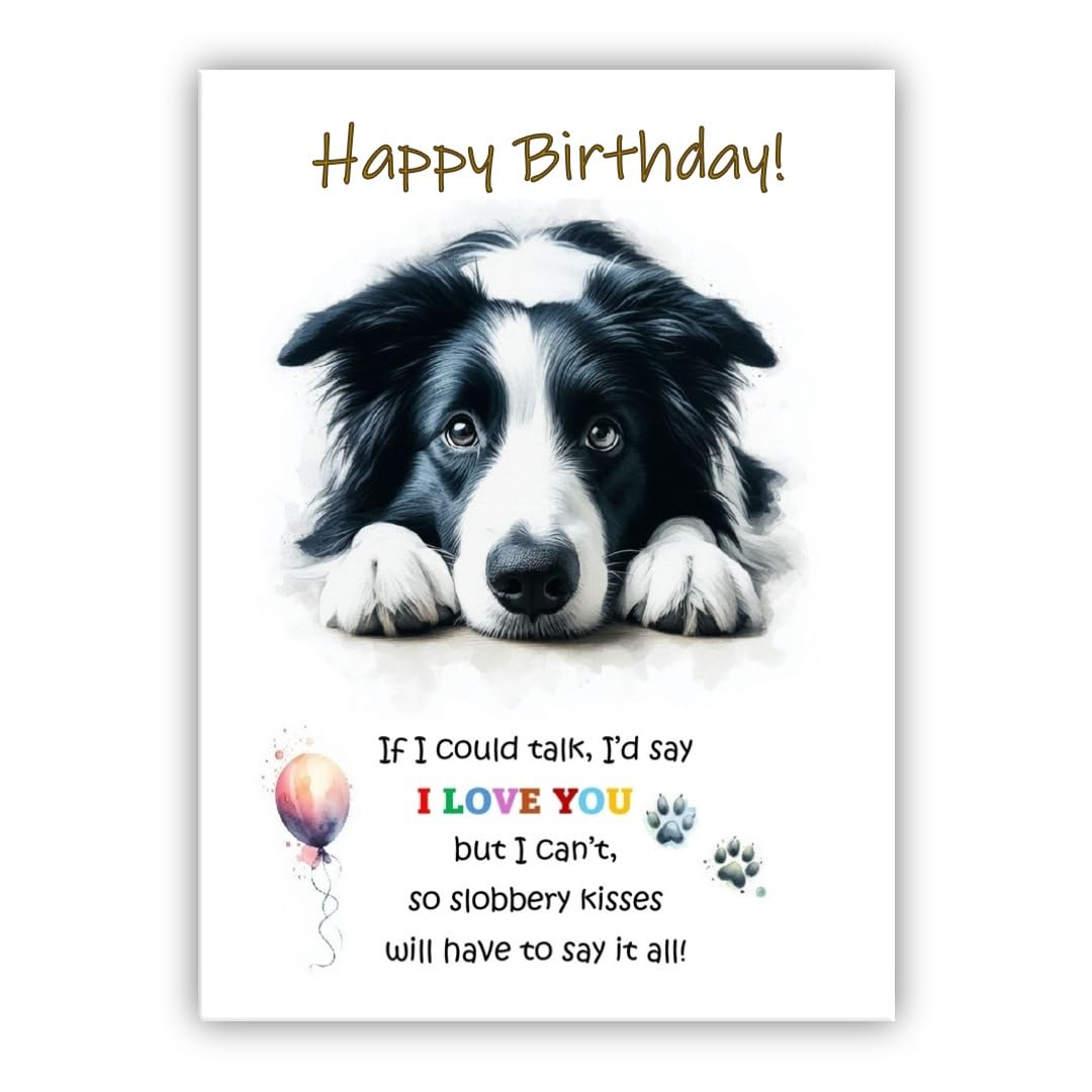 Dog Lovers Birthday Card. Border Collie Birthday Card from the dog to the owner, Mum, Dad, Mummy, Daddy, Mother, Father. (Black and white Border Collie)
